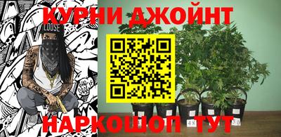 стаф Гудермес