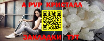 стаф Гудермес