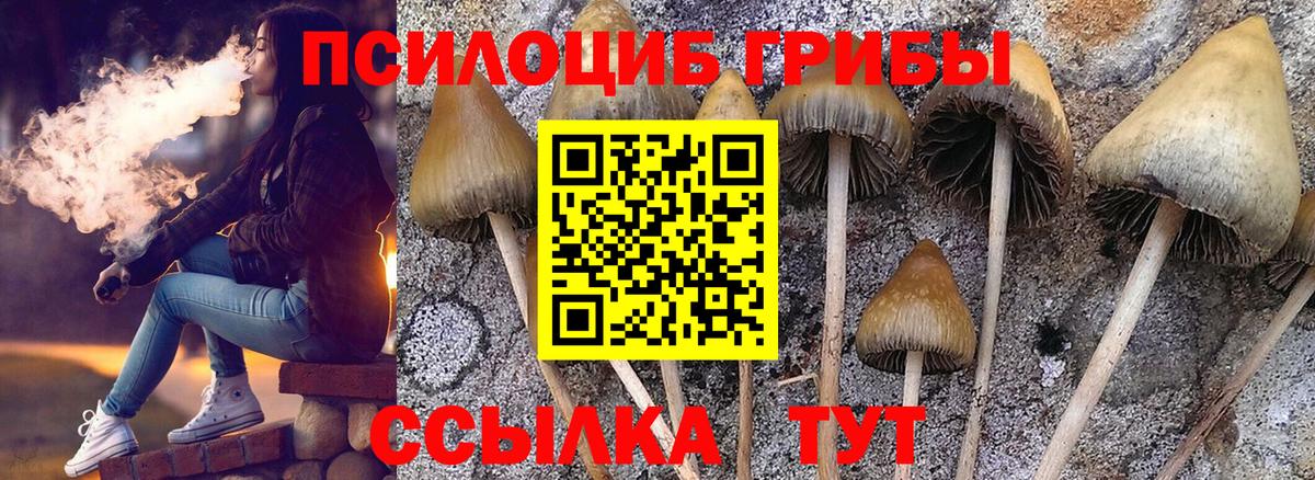Псилоцибиновые грибы Psilocybine cubensis  Псилоцибиновые грибы GOLDEN TEACHER  Горячий Ключ  Вход с VPN 